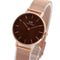 ダニエルウェリントン DANIEL WELLINGTON PETITE AMBER 28 DW00100476 腕時計 レディース ブラウン クオーツ